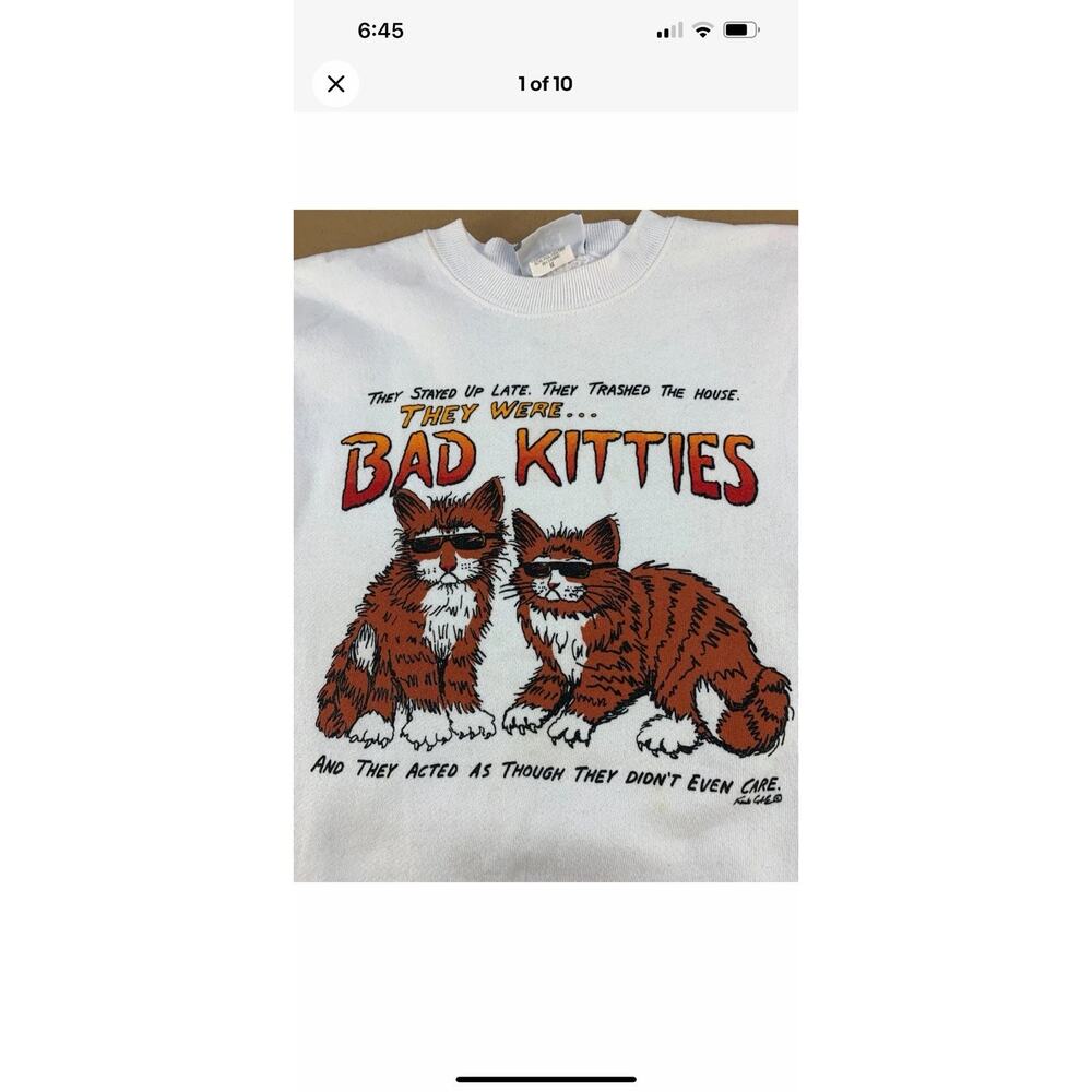 Vintage 90s Grunge Surf Skate Bad Kitties Frank Coble Original Party Sweatshirt
